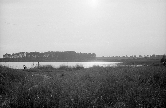 Schilfumrandetes Ufer des Inselsees. Fotografie aus den 1980er Jahren von Otto Senf.